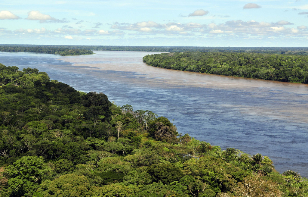 Occupying 98% of the state's land area, the rainforest is one of the top tourist attractions in Amazonas